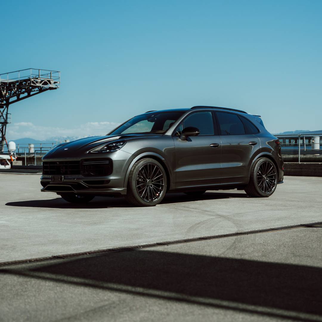 TECHART Federnsatz (E3.1 Basis / S)