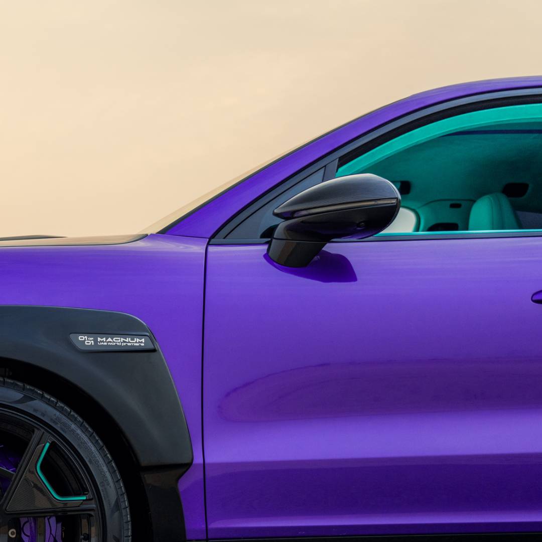 TECHART Carbon Außenspiegel Zierblenden für E3 Cayenne