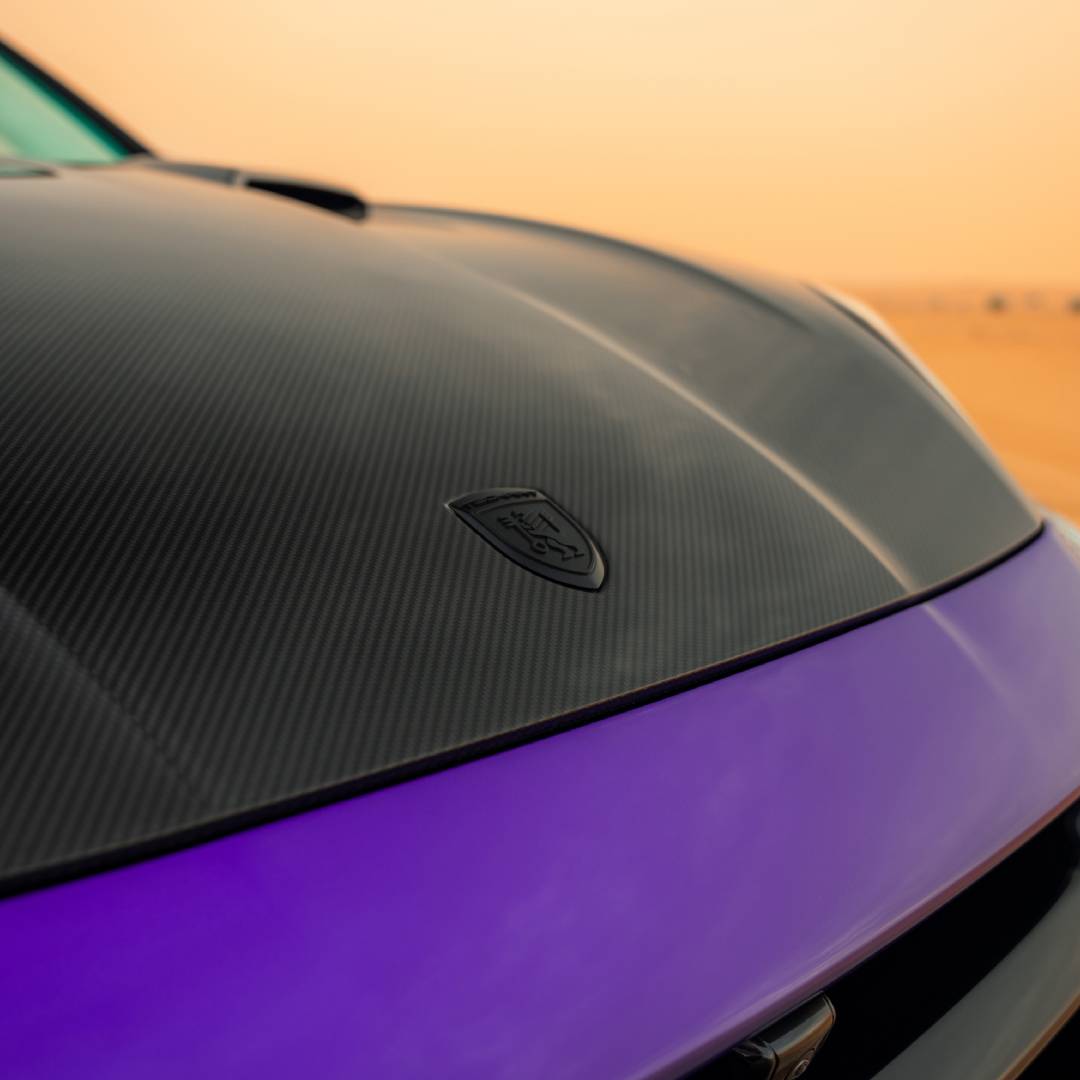 TECHART Hauben Wappen