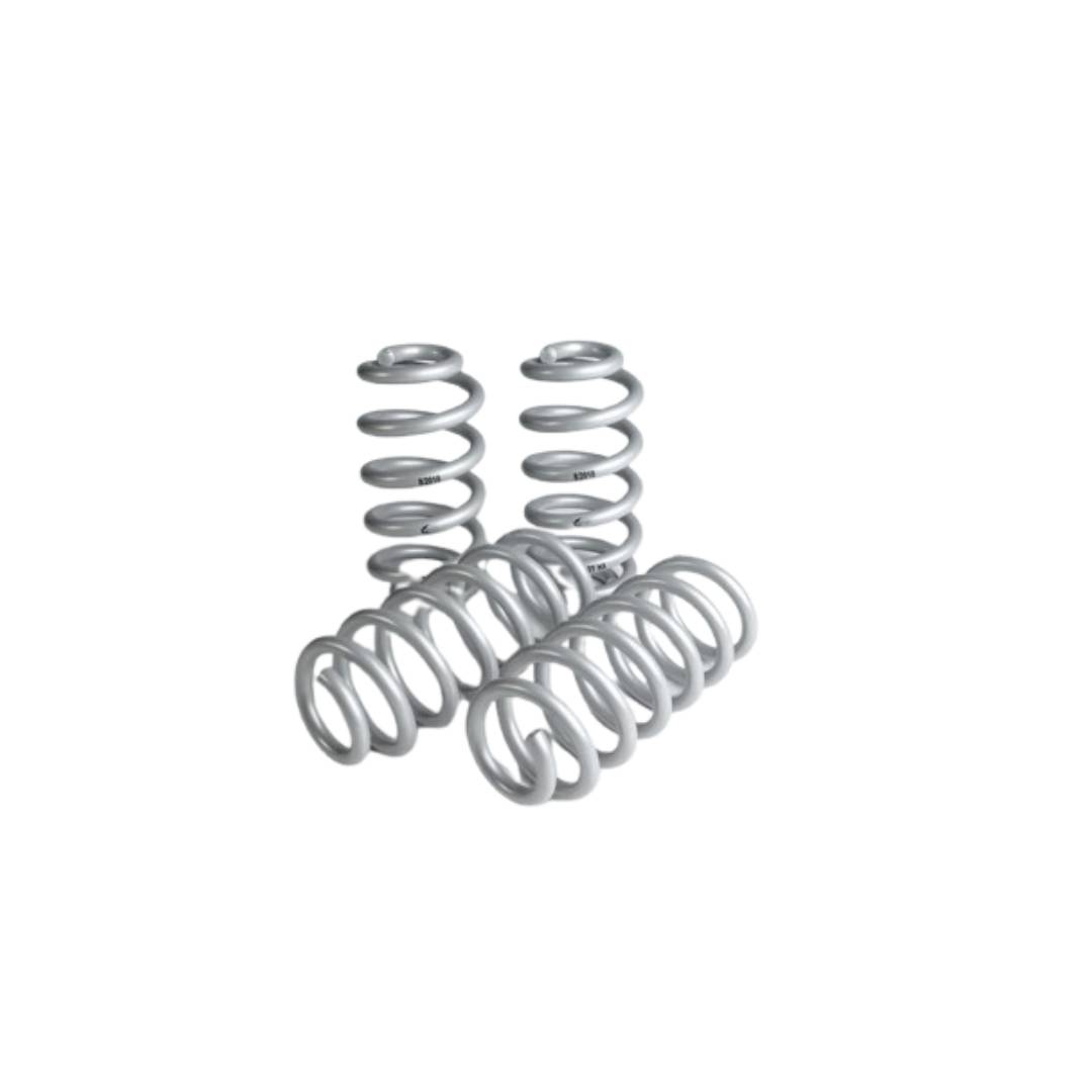 TECHART Federnsatz (E3.1 Basis / S)