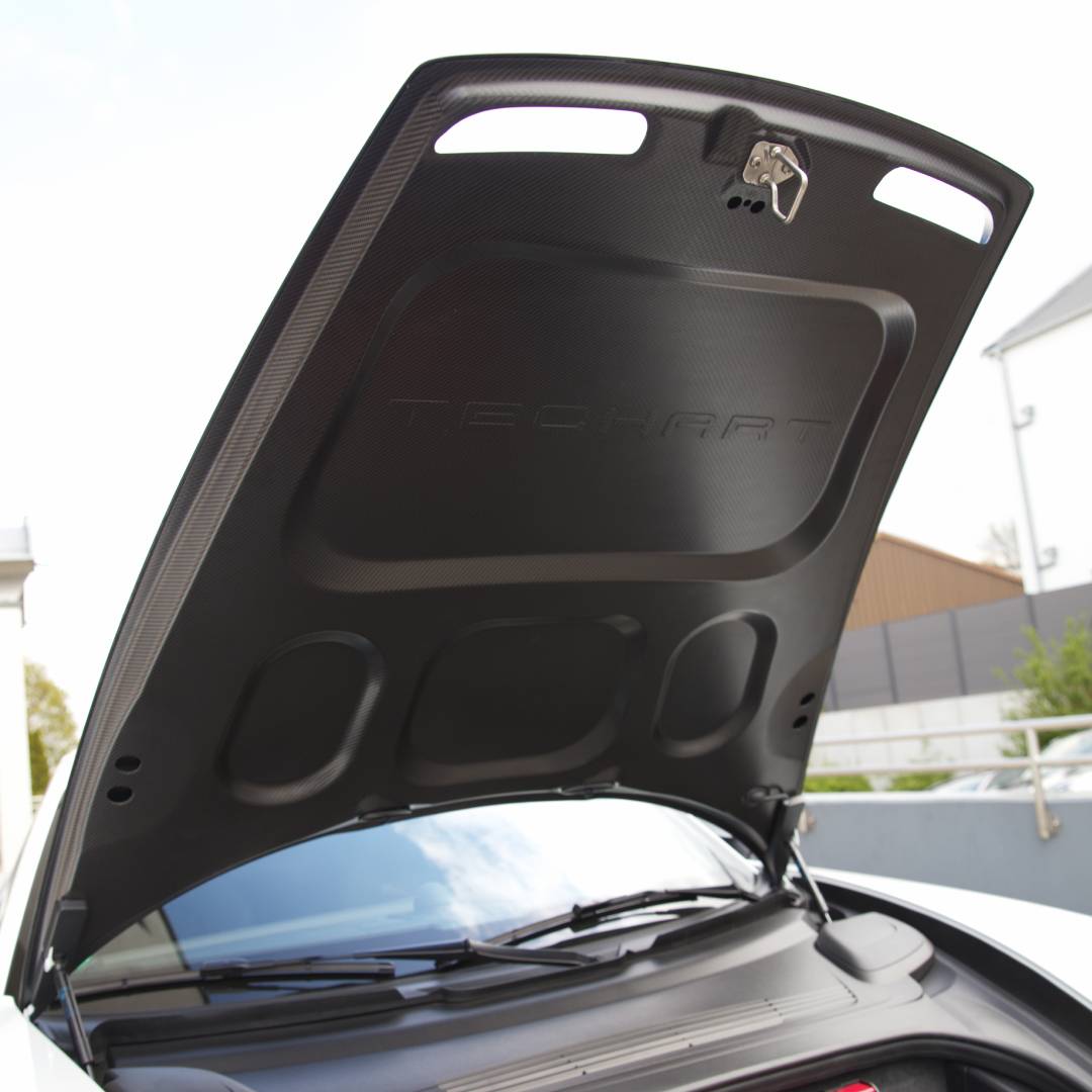 TECHART Carbon Aerohaube 992.1/.2 für Turbo und Carrera Modelle